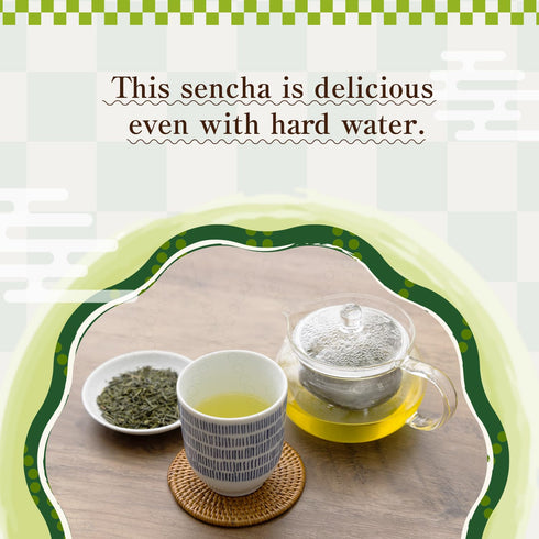 80g Sencha Green Tea Organic Japanese Green Tea Loose Leaf, Organic Loose Leaf by HAJIME