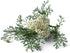 Yarrow Flower - Achillea millefolium, Loose Leaf & Flower C/S, 100% Nature, 04 oz