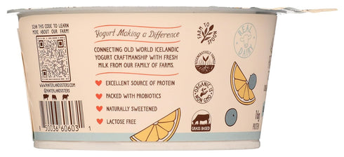 Painterland Sisters 5.3 , Yogurt Icelandic Style Skyr Blueberry Lemon Organic, Ounce