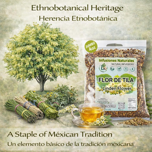 (4 oz) 100% Tila Seca Herbal Tea Natural Linden Flowers & Leaves (Ternstroemia lineata) Traditional Relaxation