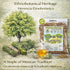 (4 oz) 100% Tila Seca Herbal Tea Natural Linden Flowers & Leaves (Ternstroemia lineata) Traditional Relaxation