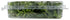 Fresh Produce 0.75 Herb Thyme Organic, Ounce
