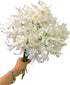 10 Elegant White Lycoris Radiata Bouquet - Premium Floral Stems for Home D cor