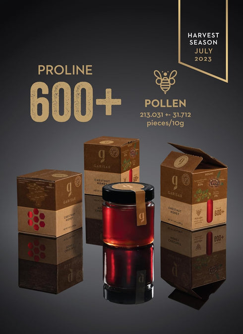 600 9.87 Oz (280 (Pack 1) Garisar Premium Single Location Chestnut Honey | Pure Natural Honey Rich in Proline (over
