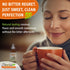 2 Oz (2 Pack) Stevia Select Coconut Pure Stevia Extract - Zero Calorie Sweetener - All Natural Liquid Stevia Extract