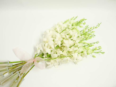 10 Bunch of Fresh Dendrobium White Cut Orchids from Nursery, Bunch of Stems (Fresh Cut)