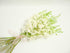 10 Bunch of Fresh Dendrobium White Cut Orchids from Nursery, Bunch of Stems (Fresh Cut)