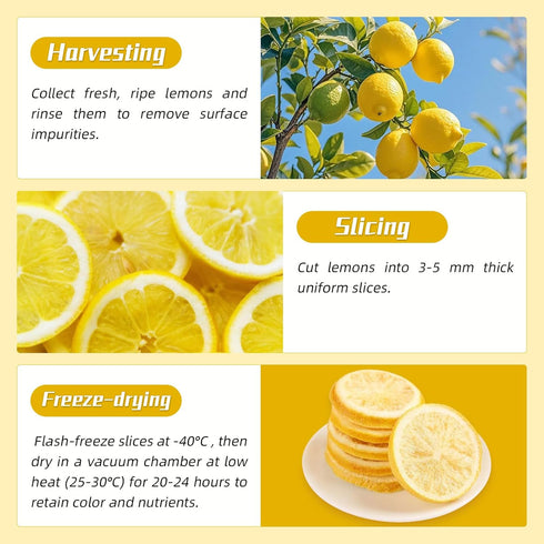 Haomly -90g/3.17oz -100% Dehydrated Lemon Slices Natural Freeze Dried Lemon Slices-Dried Lemons for Cocktails