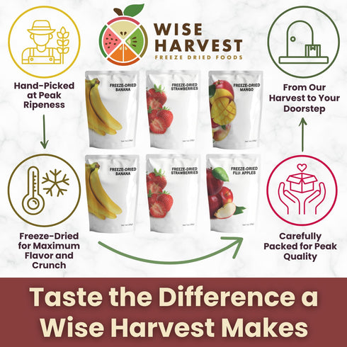 1oz Packs 100% Wise Harvest Freeze-Dried Family Fruit Bundle Six | Single Ingredient Snack | Real Fruit, No Sugar