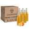 Galvanina Clementine Premium Organic Italian Sparkling Soda, 12 fl oz (6 Glass