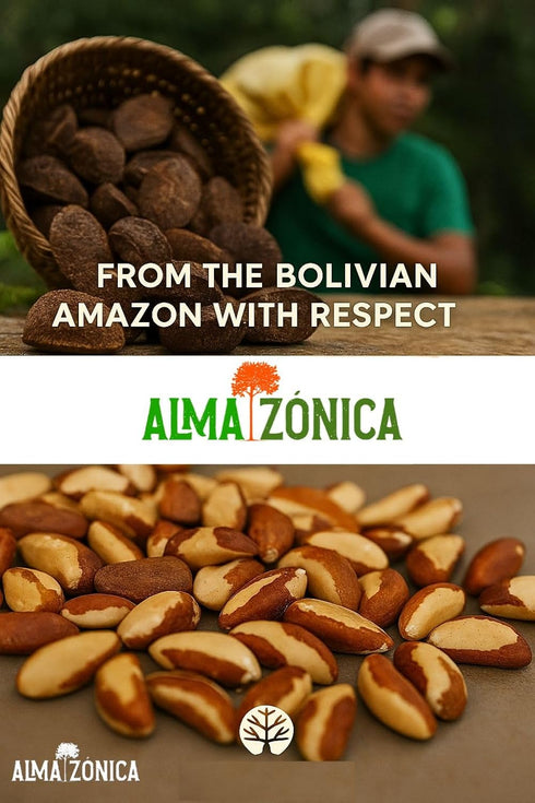 ALMA ZNICA 1 lb (16 oz) Raw Brazil Nuts Wild Harvested, Unsalted, Whole, High Selenium, Non-GMO, Single-Origin Bolivia
