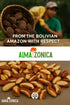ALMA ZNICA 1 lb (16 oz) Raw Brazil Nuts Wild Harvested, Unsalted, Whole, High Selenium, Non-GMO, Single-Origin Bolivia