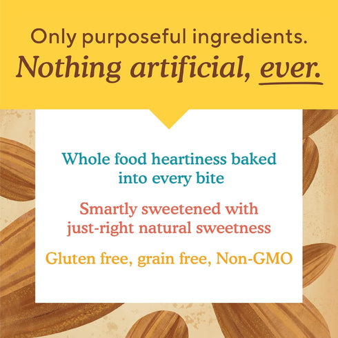 6 (Pack 1) Simple Mills Almond Flour Granola Bars, Chocolate Brownie- Gluten Free, Made with Organic Coconut Oil