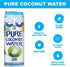 C2O 17.5 OZ (Pack 12) Pure Coconut Water | Plant Based | Non-GMO | No Added Sugar | Essential Electrolytes | FL