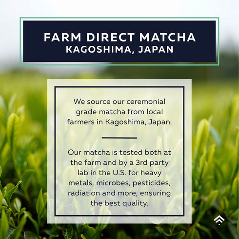 ACTA 40g, (170mg) Matcha Energy Tea High Caffeine Blend for Increased Focus & Clarity, Perfect Coffee Alternative Made
