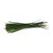 Fresh Produce PRODUCE Organic Chive, 0.5 OZ