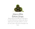 Robert's Seafood Market (375ml) Robert's Infused Balsamic Vinegar - Jalapeno