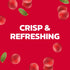 11.5 Oz 4 Count (Pack 24) Ocean Spray Sparkling Diet Cranberry Juice Drink, Fl Cans