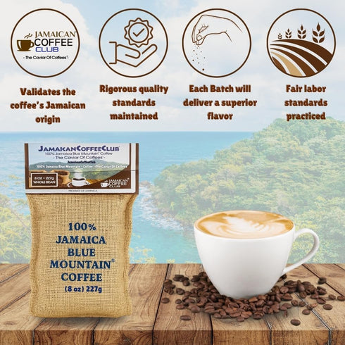 100% 8oz Pack, JamaicanCoffeeClub Blue Mountain Whole Bean Coffee, WB Jamaican Roasted Beans, Smooth Rich Flavor