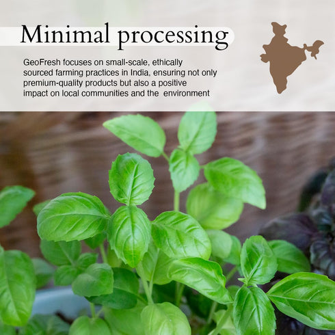 0.71 oz (20g) Geo-Fresh Organic Basil Leaves Dried Basil Seasoning for Cooking & Seasoning Non-GMO, Kosher, USDA