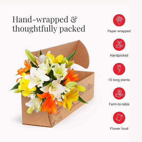 10 BloomsyBox Stem Multicolor Asiatic Lilies (Glass Vase Included) Fresh Flowers for Delivery Gift for Birthday