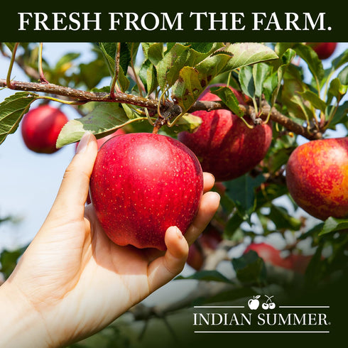 Summer 23 (Pack 6), Indian Chunky Peach Applesauce, Ounce of Made in USA