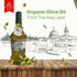 Dusza 750ml Zayt Baladna Extra Virgin Olive Oil Cold-Pressed Unfiltered Bottle Organic EVOO Polyphenol Rich Premium