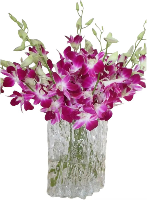 20 Stems purple orchids fresh cut flower gift birthday anniversary Valentine's Day flowers Dendrobium orchid
