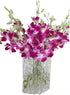 20 Stems purple orchids fresh cut flower gift birthday anniversary Valentine's Day flowers Dendrobium orchid