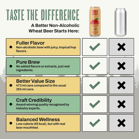70 12 (16 oz SOBER CARPENTER - Craft Cider, Non-Alcoholic Cider Made with Real Apple Juice from Mcintosh Apples, Non