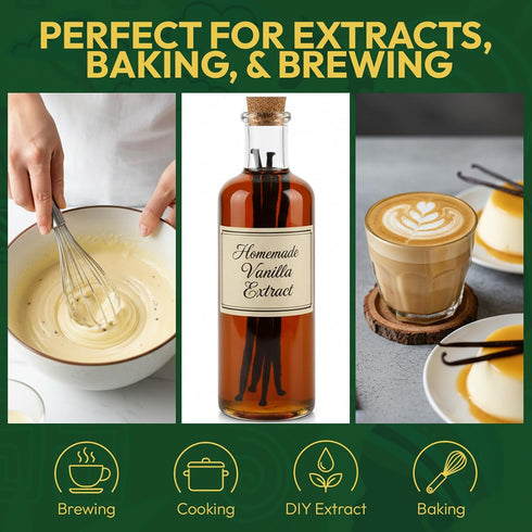 15 Count Golden Pod Vanilla Beans | Gourmet Grade A Whole Vanilla Pods | Fresh, Moist & Aromatic Beans for Homemade