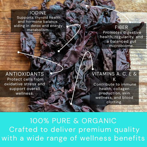 (8oz Ocean's Balance Organic Whole Leaf Dulse Maine Coast Vegetables for Keto, Paleo Diet, & Vegan Diets Sweet Seaweed