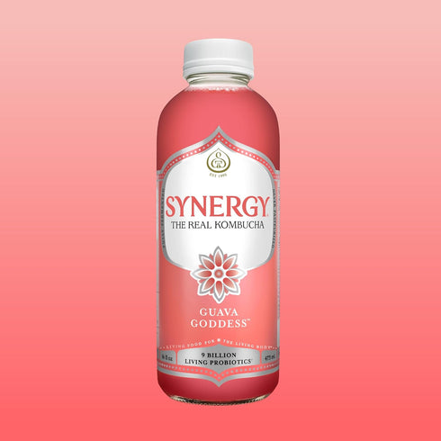 16 oz Immune SYNERGY The Real Kombucha - Guava Goddess - fl Bottle - Raw Probiotic Drink for Gut Health and Support