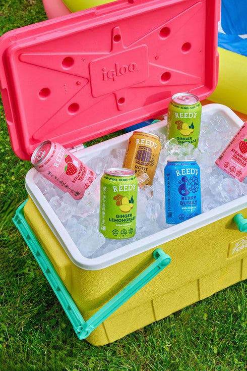 12oz 12-Pack Reed's Ginger Lemongrass Functional Soda - Organic Ginger, Adaptogen Mushroom Blend, Prebiotics - Cans