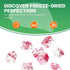 6.53OZ/185G Frozen Freeze Dried Dragon Fruit, Freeze Dried Fruit, Drago n Fruit, Freez e Dri ed Dragon Fru-it Cubes, No