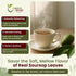 100% (1Lb, 16 Oz) Organic Way Dried Soursop Leaf Coarse Cut (Annona Muricata) - Herbal Tea | Vegan, Non GMO & Gluten