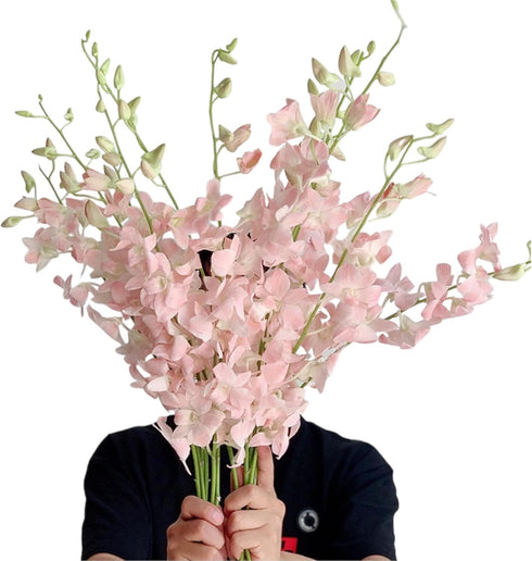 20 pink orchids fresh cut flowers gift birthday anniversary Valentine's Day flowers
