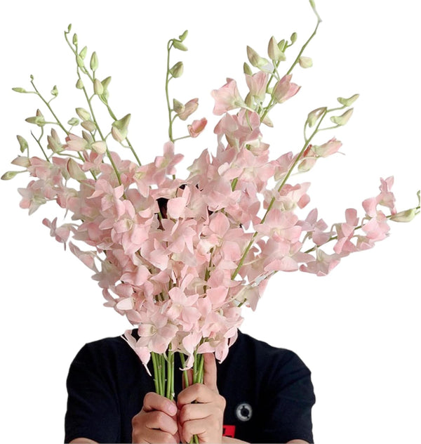 20 pink orchids fresh cut flowers gift birthday anniversary Valentine's Day flowers