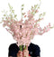 20 pink orchids fresh cut flowers gift birthday anniversary Valentine's Day flowers
