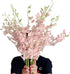 20 pink orchids fresh cut flowers gift birthday anniversary Valentine's Day flowers