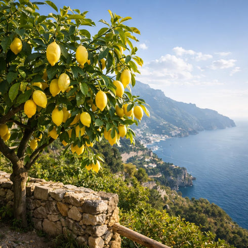(250ml) 8.45 oz Dell'Orto Limonolio Lemon Olive Oil Extra Virgin | Amalfi Coast Lemons, Cold Pressed Infused Olive Oil