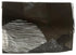 Allegro Coffee 12 oz Blue Nile Blend Whole Bean Coffee