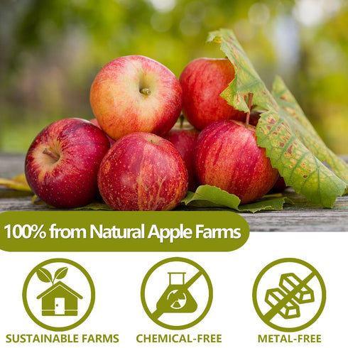 Apples,10 Oz /283g,1 100% Premium Dried Diced Ingredient Made with Natural Apple, No Sugar Added Dehydrated Apple, No