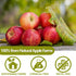 Apples,10 Oz /283g,1 100% Premium Dried Diced Ingredient Made with Natural Apple, No Sugar Added Dehydrated Apple, No