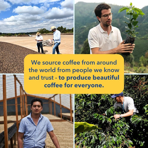12oz PARTNERS COFFEE ROASTERS - Whole Bean Coffee (El Ramo - Colombian, Light Roast) - Sweet Colombian Blend - Whole