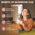 6 Immune 20 Balincer Mushroom Chai, Adaptogenic Mushrooms (Lion's Mane, Cordyceps, Turkey Tail & Other) Mixed
