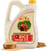 Gourmanity Rice Bran Oil, Bulk 1.32 Gallon Easy Pour Bottle, Heart Healthy