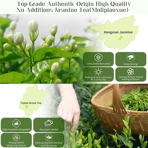 96 4.23oz/120g XIXICHA Jasmine Tea Loose Leaf Grade AAA Chinese Jasmine Green Tea Loose Leaf Natural Aroma and Sweet