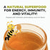 100% 8.47 oz K&A HONEY Angico Blossom | USDA Certified Raw Organic Honey | Pure Brazilian Honey | Rich in Antioxidants