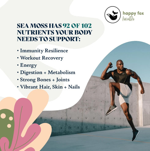HAPPY FOX Organic Sea Moss Raw Gold, Makes 75oz of Seamoss Gel, Certified Non-GMO Superfood, 100 gram Bag